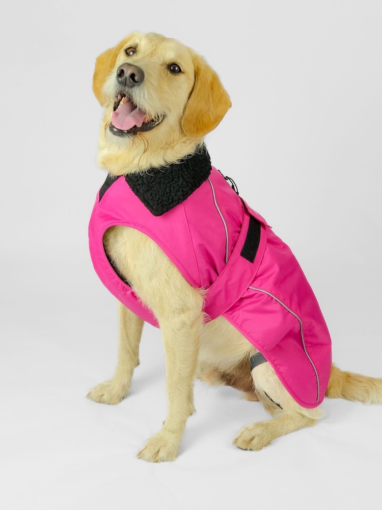 dryrobe Pink Dog Jacket - Image 1 of 5 dryrobe Pink Dog Jacket - Image 1 of 5