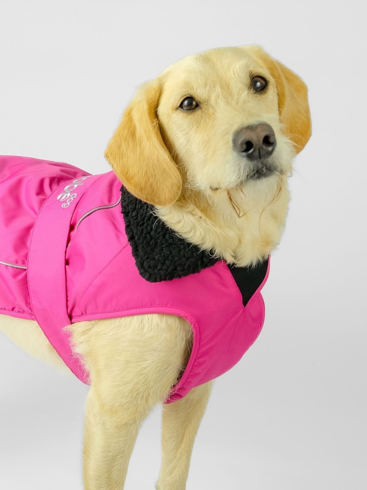dryrobe Pink Dog Jacket - Image 5 of 5