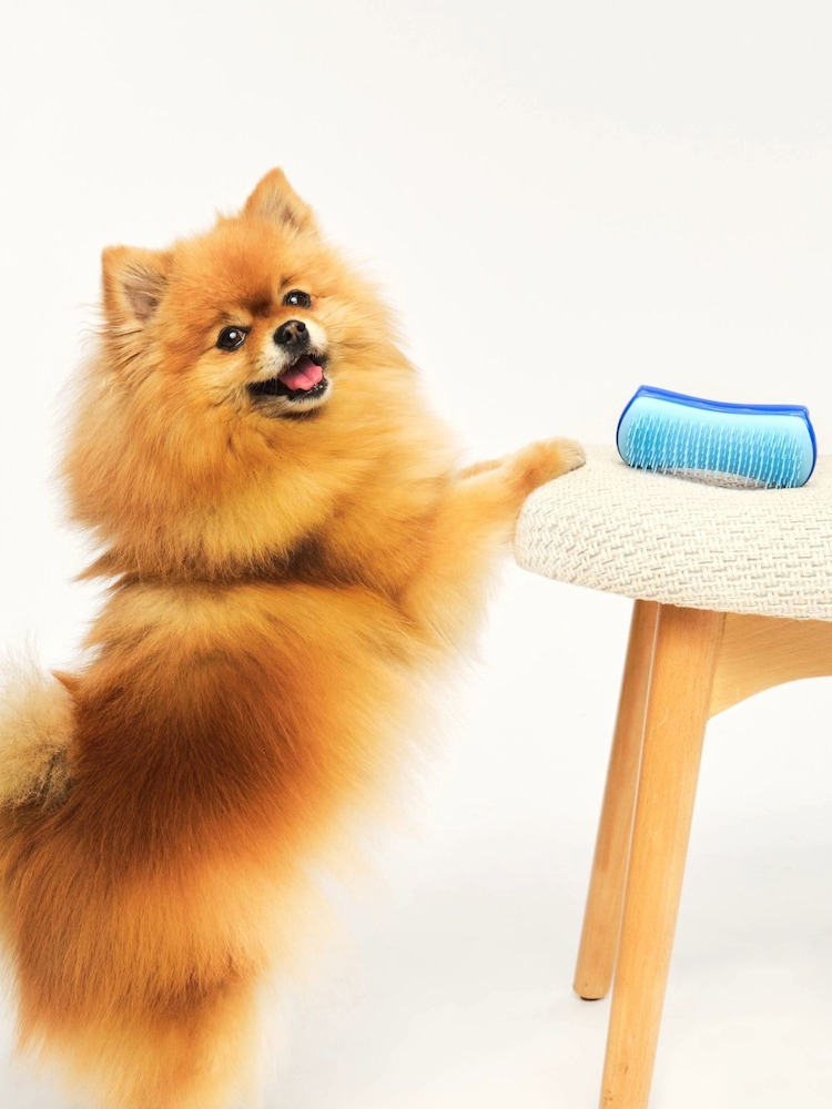 Tangle Teezer Small Pet De-shedding Brush - Blue / Light Blue - Image 6 of 6