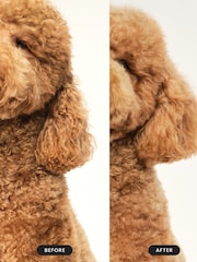 Tangle Teezer Small Pet Detangling Brush - Lilac / Yellow - Image 7 of 8