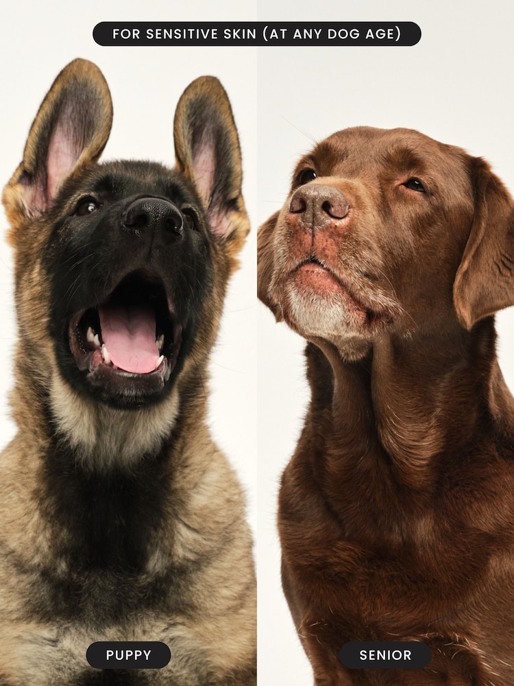 Tangle Teezer Puppy Brush - Green - Image 7 of 7