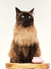 Tangle Teezer Cat Brush - Millennial Pink - Image 6 of 6