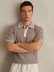 Light Taupe Brown - Reiss Jarvis Micro-Cable Half-Zip Polo Shirt - Imagen 1 de 6