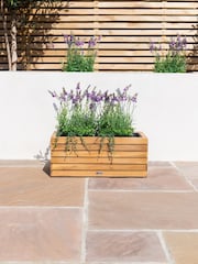 Maze Natural Small Bali Garden Planter - Image 1 of 6