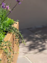 Maze Natural Small Bali Garden Planter - Image 5 of 6