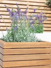 Maze Natural Medium Bali Garden Planter - Image 4 of 6