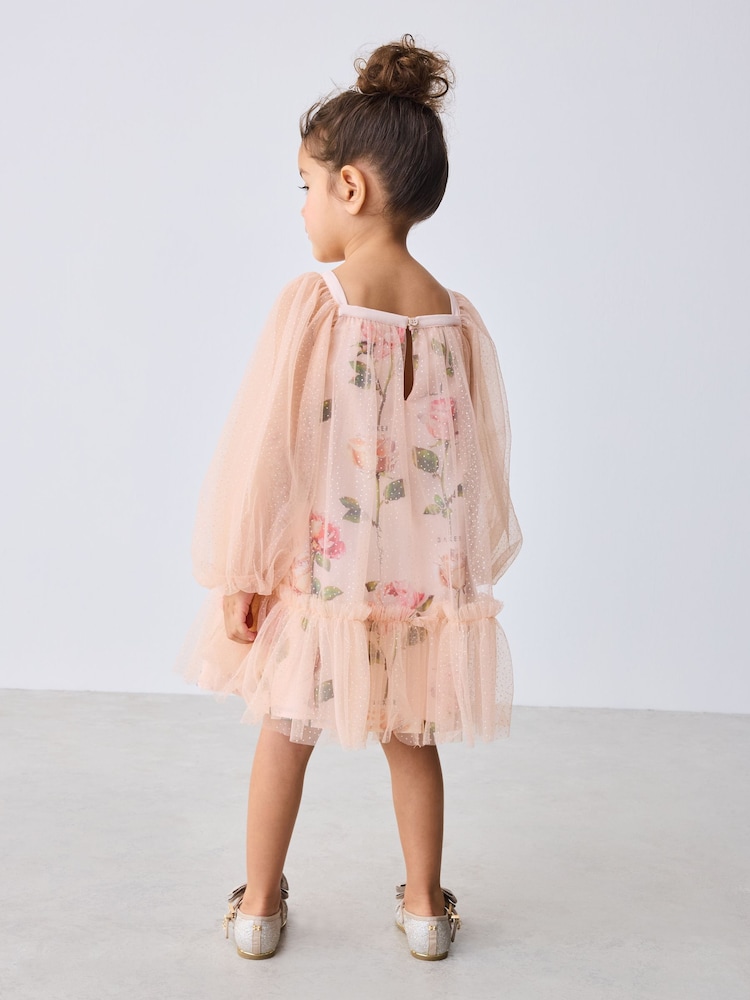 Buy Baker by Ted Baker 3D Corsage Glitter Mesh Overlay Floral Dress from  Next USA