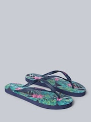 Animal Pink Womens Oceana Printed Flip Flop Sandals - Image 1 of 5