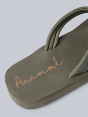 Animal Green Womens Swish Flip Flops - Image 5 of 5