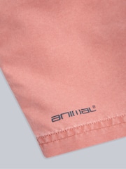 Animal Orange Mens Deep Dive Quick Drying Board Shorts - Image 4 of 5