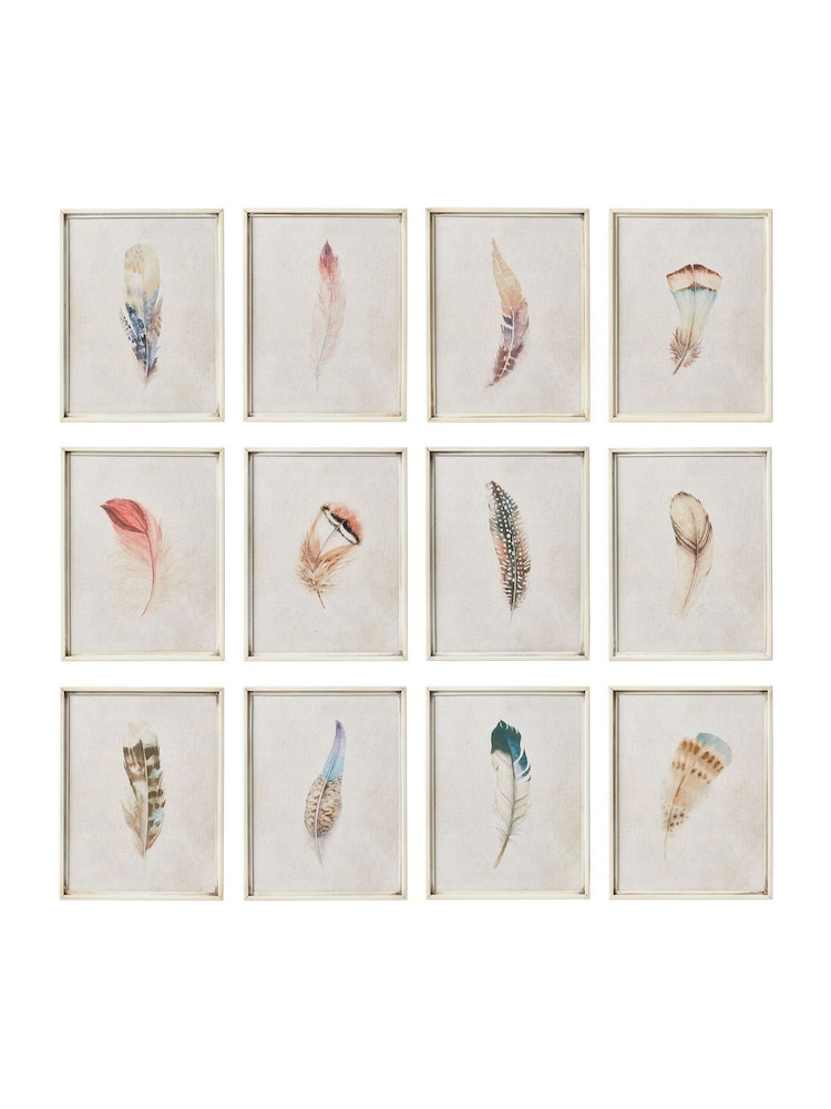 Oka Set of 12 Cream Feather Wall Art Prints - Image 2 of 2