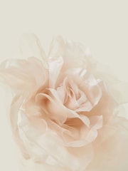 Accessorize Natural Oversized Corsage Headband - Image 2 of 3
