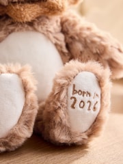 Natural Safari Born in 2026 Lion Soft Toy - Image 3 of 5