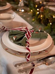Sophie Allport Set of 4 Forest Green Robin Napkins - Image 1 of 2