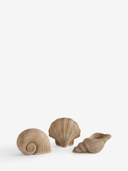 Set of 3 Natural Rattan Effect Shells Ornament - Image 1 of 1