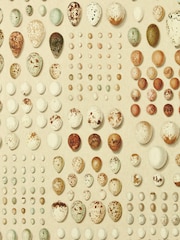 Sanderson Silkie X Giles Oology Portal Deacon Wallpaper - Image 1 of 1