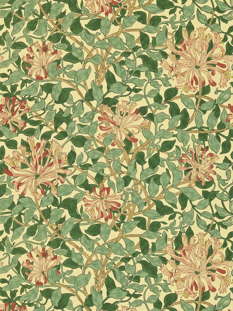 Morris & Co Honeysuckle Green Coral Pink Morris Friends A4 Wallpaper Sample - Image 1 of 1