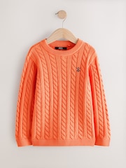 Orange Cable Knit Crew Neck Jumper (3-16yrs) - Image 4 of 7
