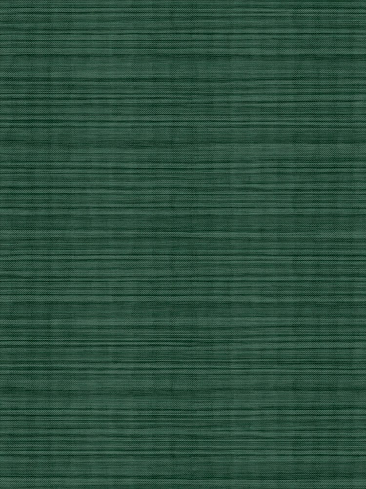 Graham & Brown Jungle Envy Stitch Please A4 Wallpaper Sample - Image 2 of 3