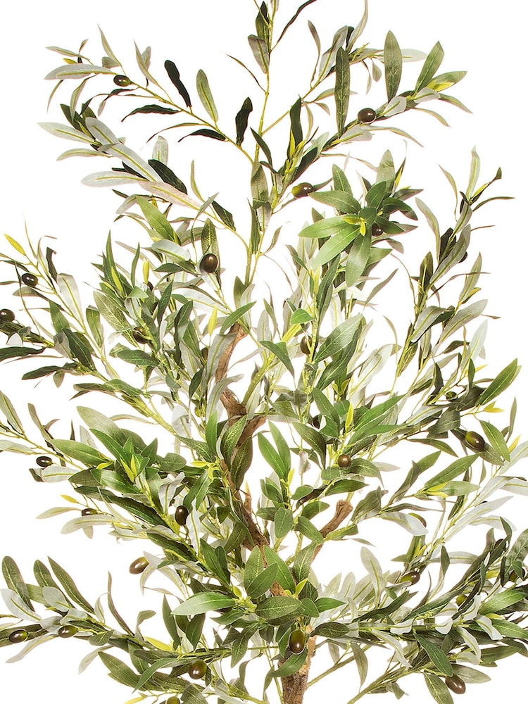 Premier Decorations Ltd Artificial Potted Olive Tree - Image 2 of 2