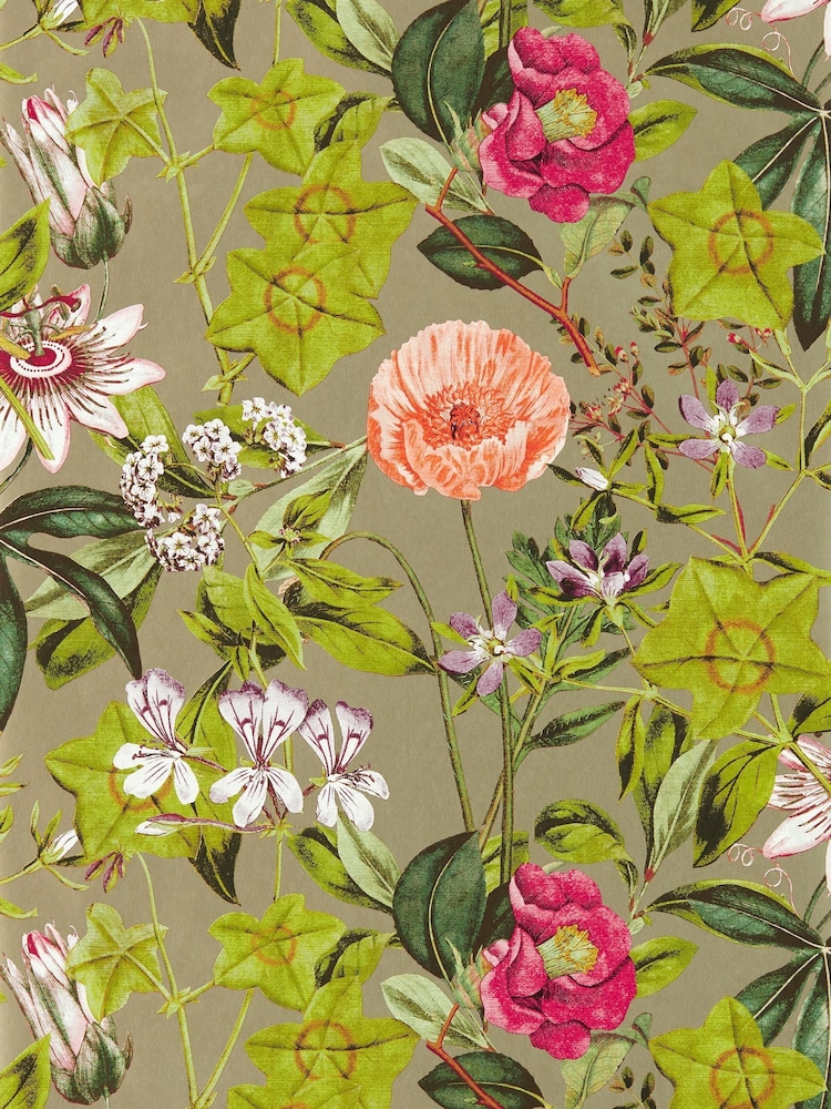 Clarke & Clarke Mulberry Gilver Passiflora Exotica 2 A4 Wallpaper Sample - Image 1 of 1
