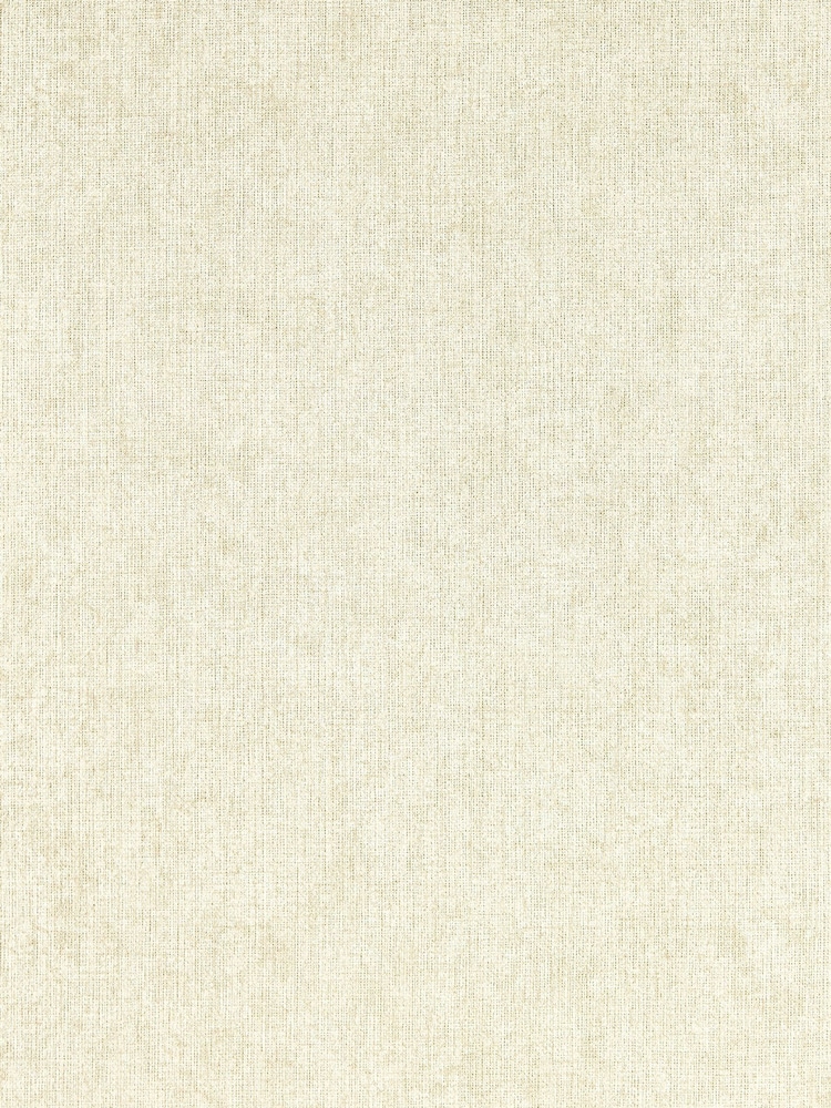 Clarke & Clarke Alabaster Texo Expressions Performance A4 Wallpaper Sample - Image 1 of 1