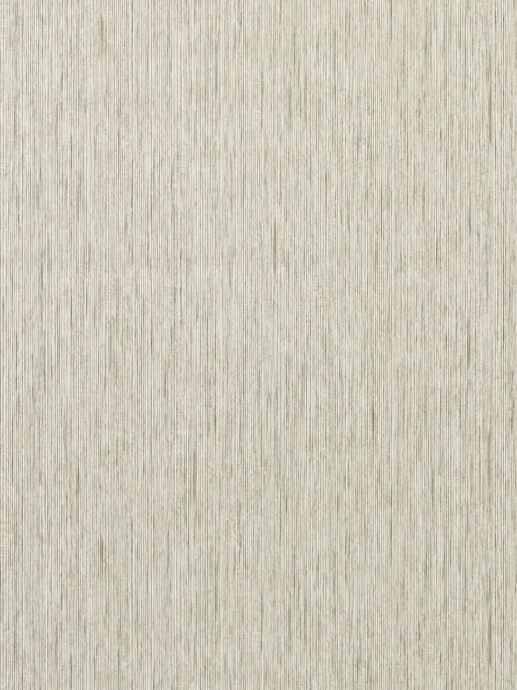 Clarke & Clarke Putty Asper Expressions Performance A4 Wallpaper Sample - Image 1 of 1