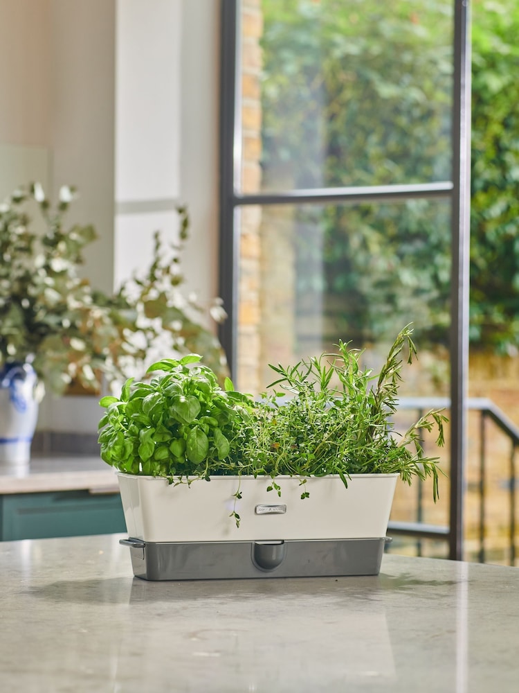 Cole & Mason White Grey Burwell Self-Watering Potted Herb Saver Triple Keeper - Image 1 of 4 Cole & Mason White Grey Burwell Self-Watering Potted Herb Saver Triple Keeper - Image 1 of 4