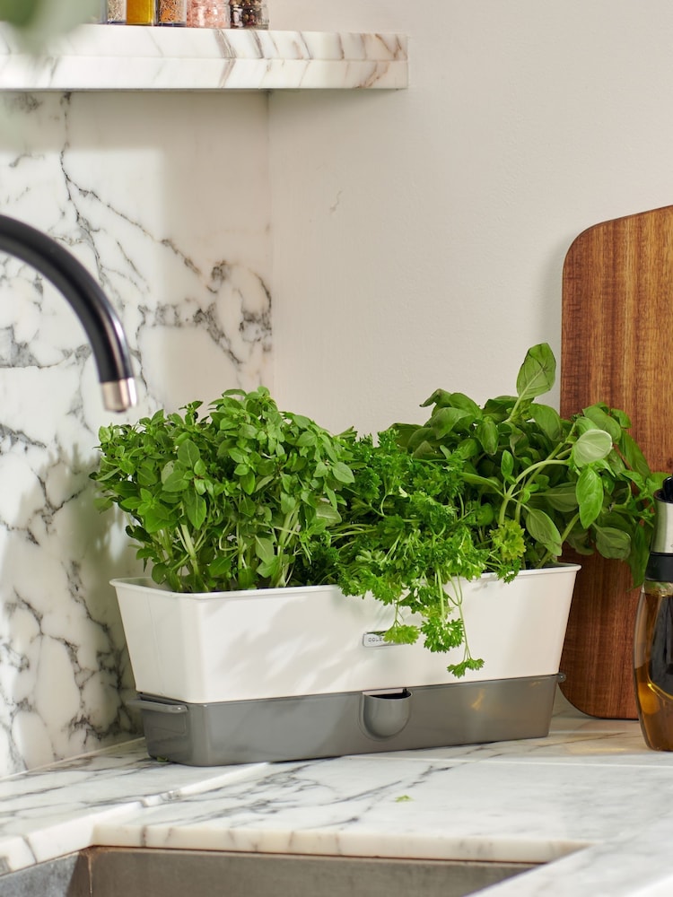 Cole & Mason White Grey Burwell Self-Watering Potted Herb Saver Triple Keeper - Image 2 of 4 Cole & Mason White Grey Burwell Self-Watering Potted Herb Saver Triple Keeper - Image 2 of 4