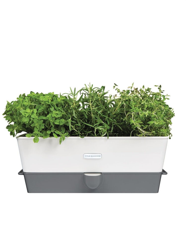 Cole & Mason White Grey Burwell Self-Watering Potted Herb Saver Triple Keeper - Image 4 of 4 Cole & Mason White Grey Burwell Self-Watering Potted Herb Saver Triple Keeper - Image 4 of 4