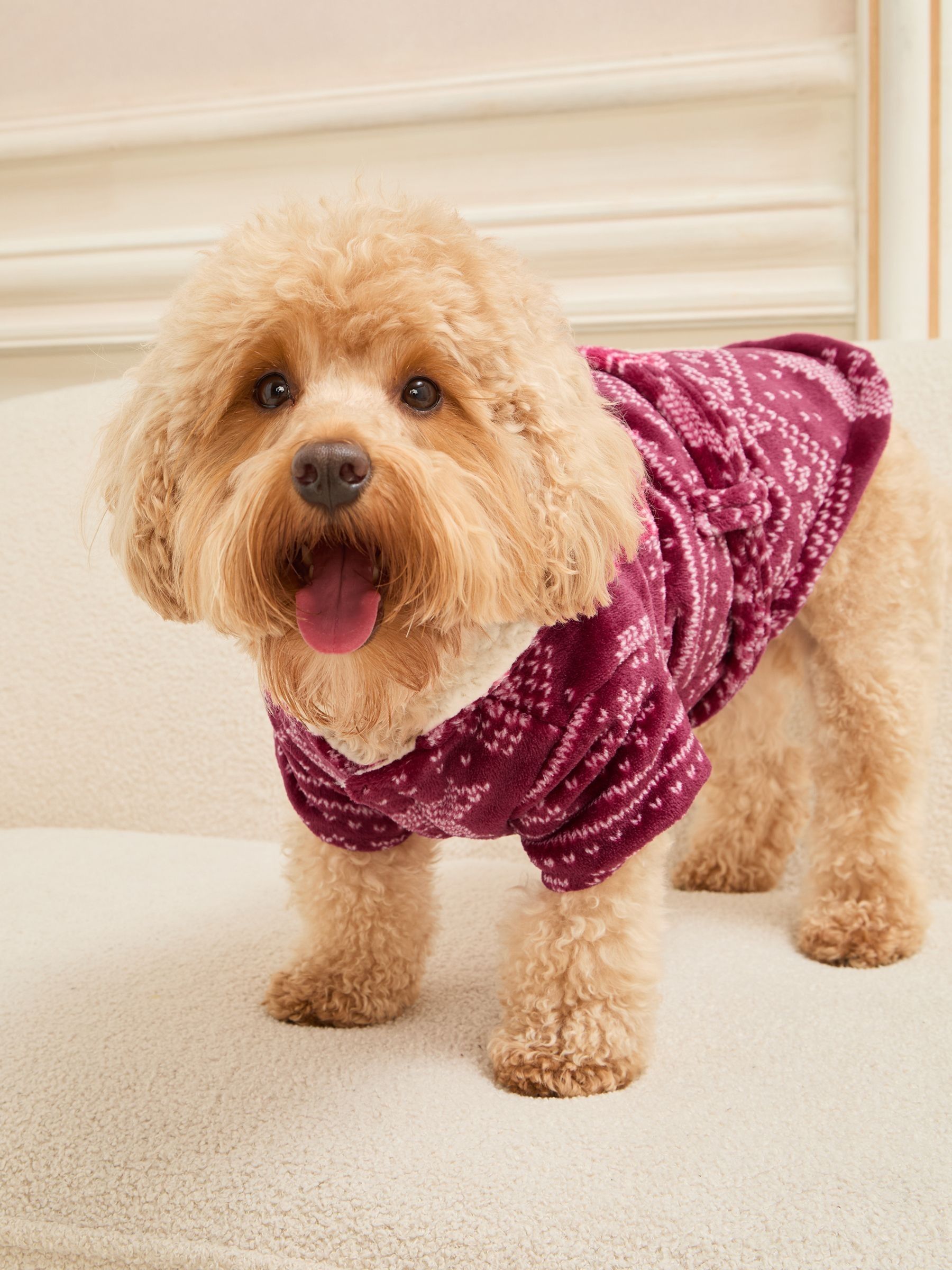 Dressing Your Dog For Overcast Weather Reference: Buy Lipsy Burgundy Fairisle Dog Dressing Gown Robe From The