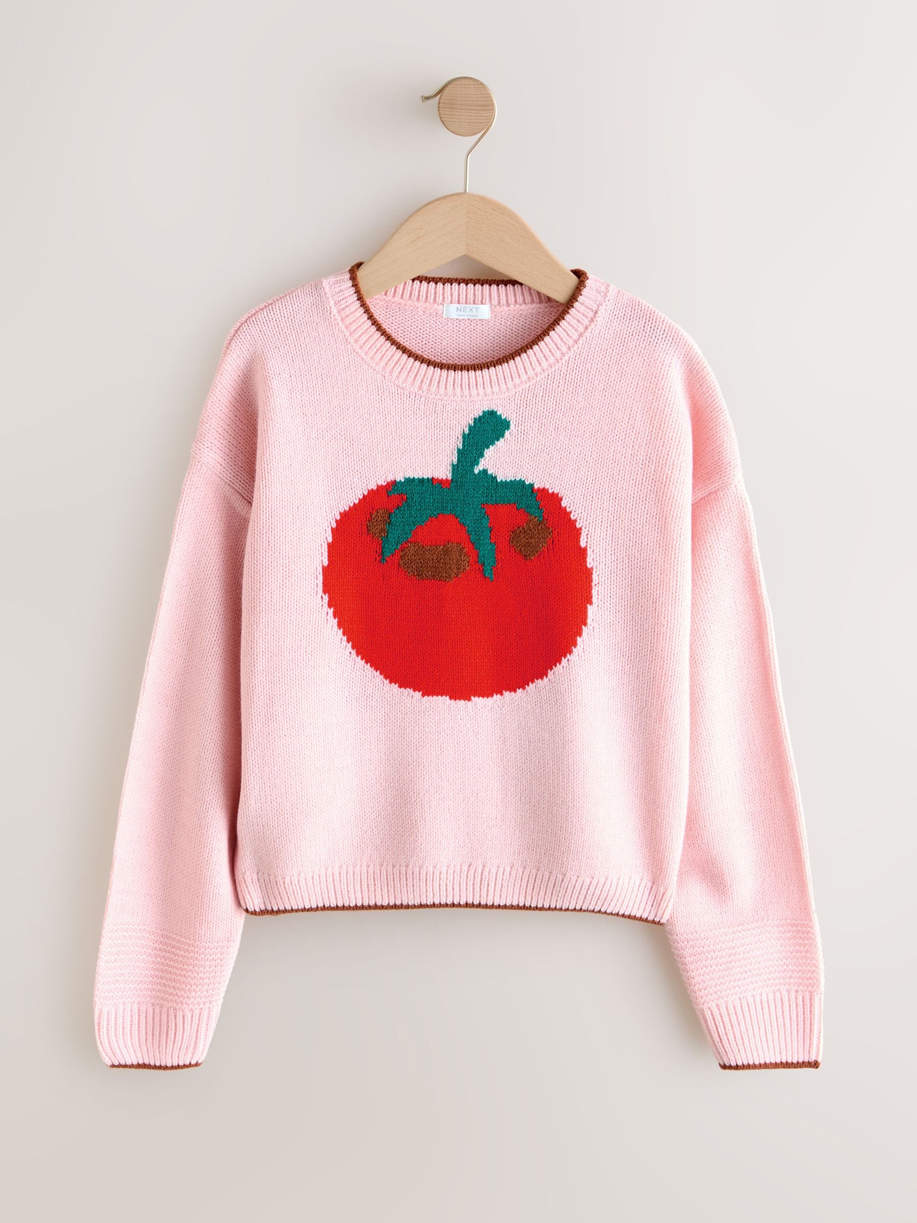 Buy Pink Tomato Jumper (3-16yrs) from Next USA