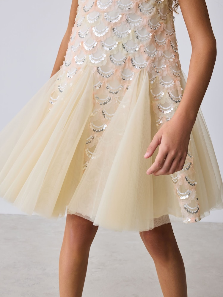 Buy Baker by Ted Baker Sequin Godet Mesh Dress & Cape Set from Next United  Arab Emirates