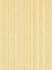 Harlequin Bamboo Palla Reflect 110M Wallpaper - Image 1 of 1