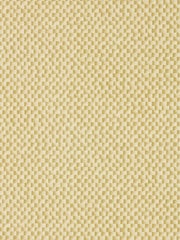 Harlequin Natural Skiva Reflect 110M Wallpaper - Image 1 of 1
