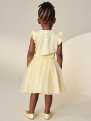Yellow Knitted Top and Mesh Skirt Set (3mths-10yrs) - Image 2 of 7
