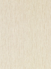 Clarke & Clarke Sahara Folius Expressions Performance 10M Wallpaper - Image 1 of 2