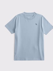 Abercrombie & Fitch Essential Icon Crew T-Shirt - Image 1 of 1