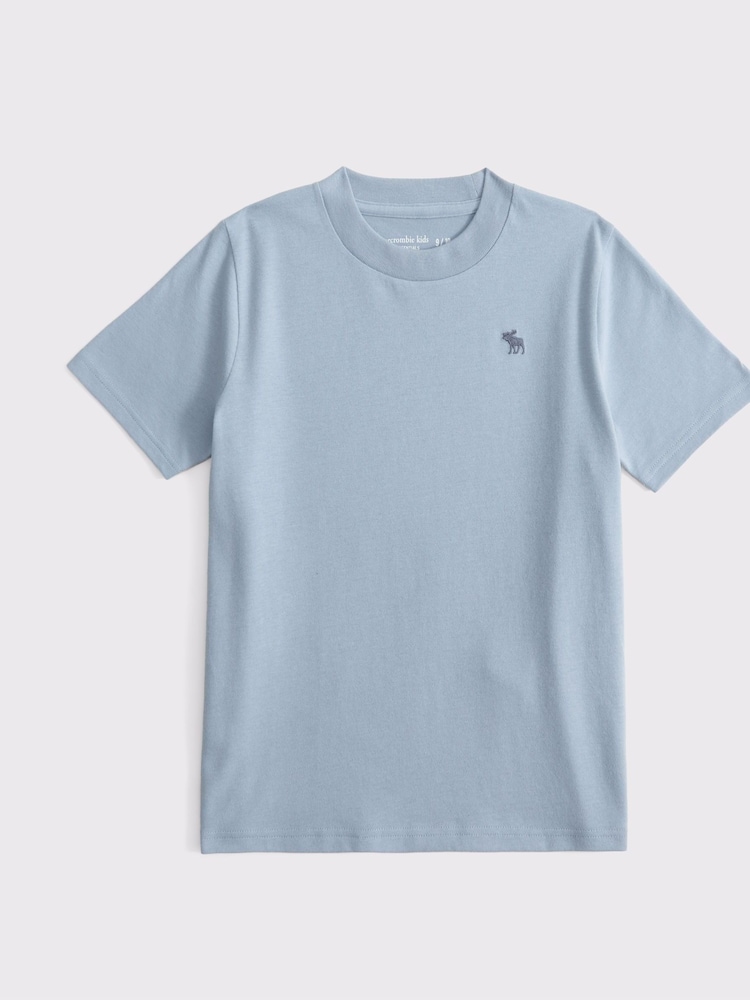 Abercrombie & Fitch Essential Icon Crew T-Shirt - Image 1 of 1