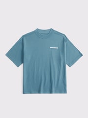 Abercrombie & Fitch Blue Imagery Logo Graphic Print T-Shirt - Image 1 of 2