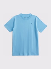 Abercrombie & Fitch Icon Logo Crew Neck Short Sleeve T-Shirt - Image 1 of 1