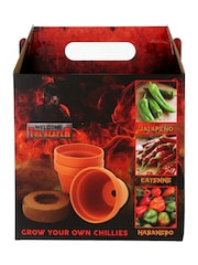 Kimm & Miller Grow Your Own Chilli Gift Set - Image 1 of 4