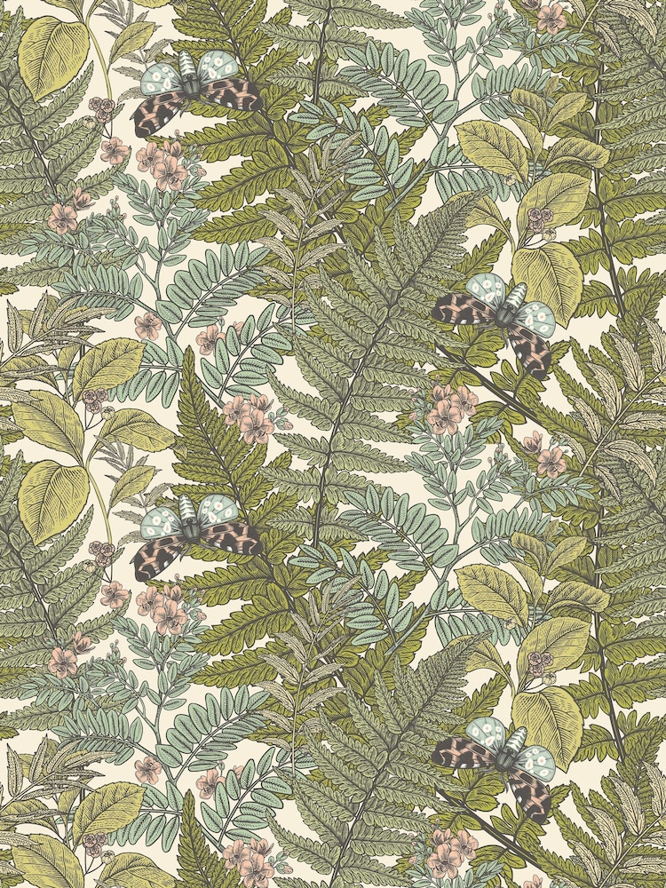 Hoopla Walls Juniper Wild Ferns A4 Wallpaper Sample - Image 1 of 1 Hoopla Walls Juniper Wild Ferns A4 Wallpaper Sample - Image 1 of 1
