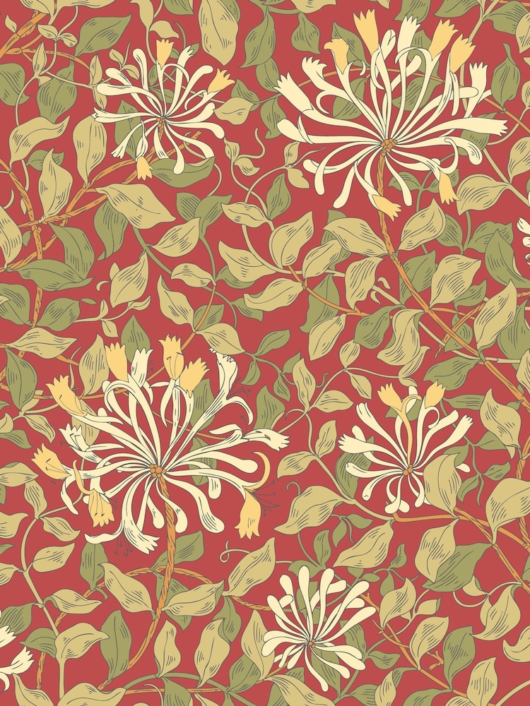 Hoopla Walls Terracotta Honeysuckle Leaf Trail A4 Wallpaper Sample - Image 1 of 1 Hoopla Walls Terracotta Honeysuckle Leaf Trail A4 Wallpaper Sample - Image 1 of 1
