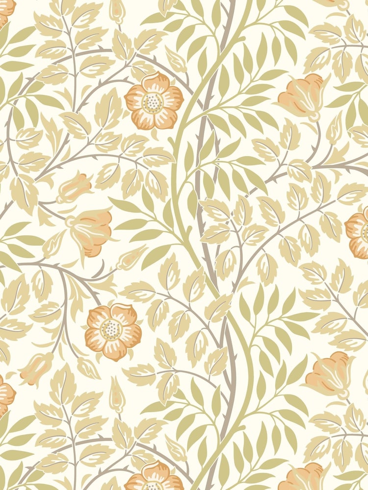 Hoopla Walls Soft Amber Rosehip Trial A4 Wallpaper Sample - Image 1 of 1 Hoopla Walls Soft Amber Rosehip Trial A4 Wallpaper Sample - Image 1 of 1