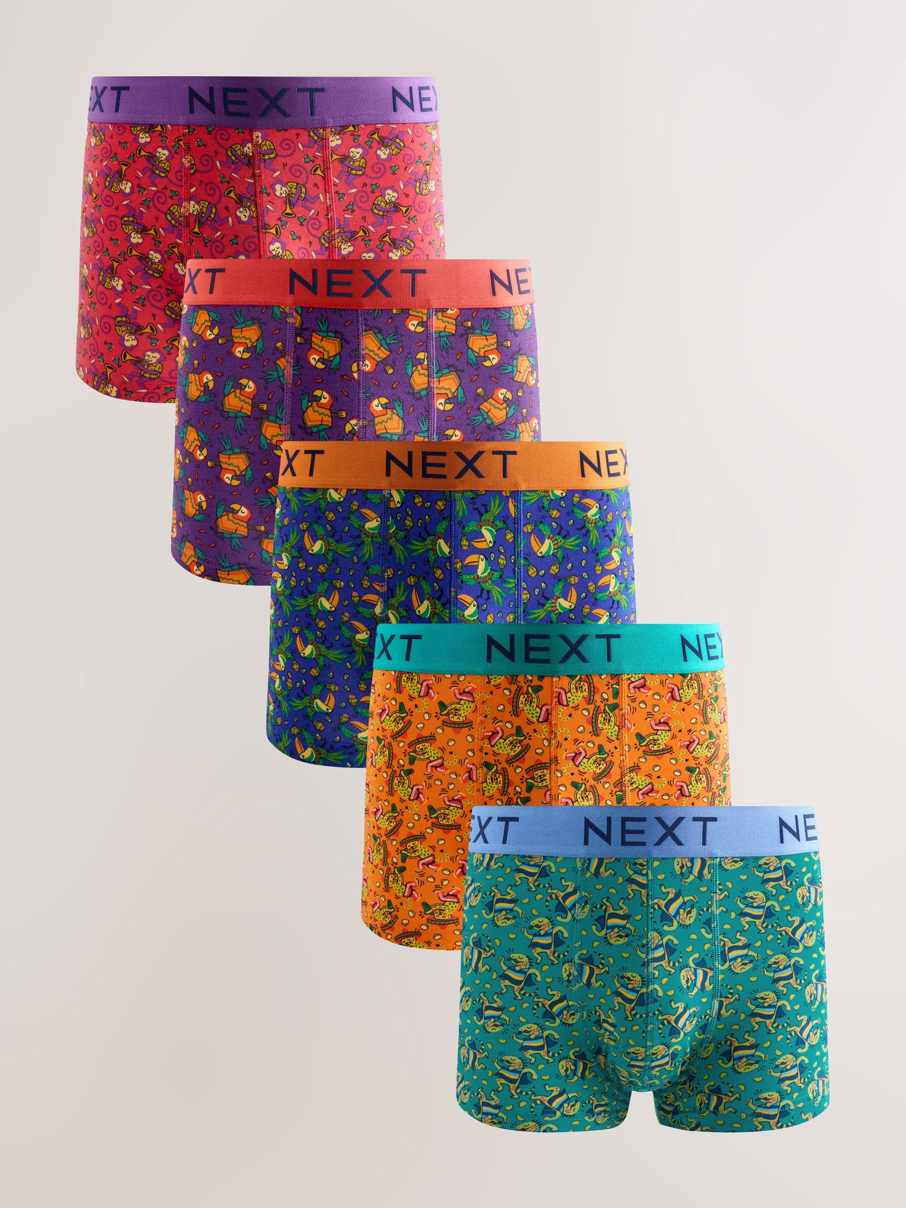 Buy Fun Bright Mexican Animals 5 Pack Hipster Boxers from the Next