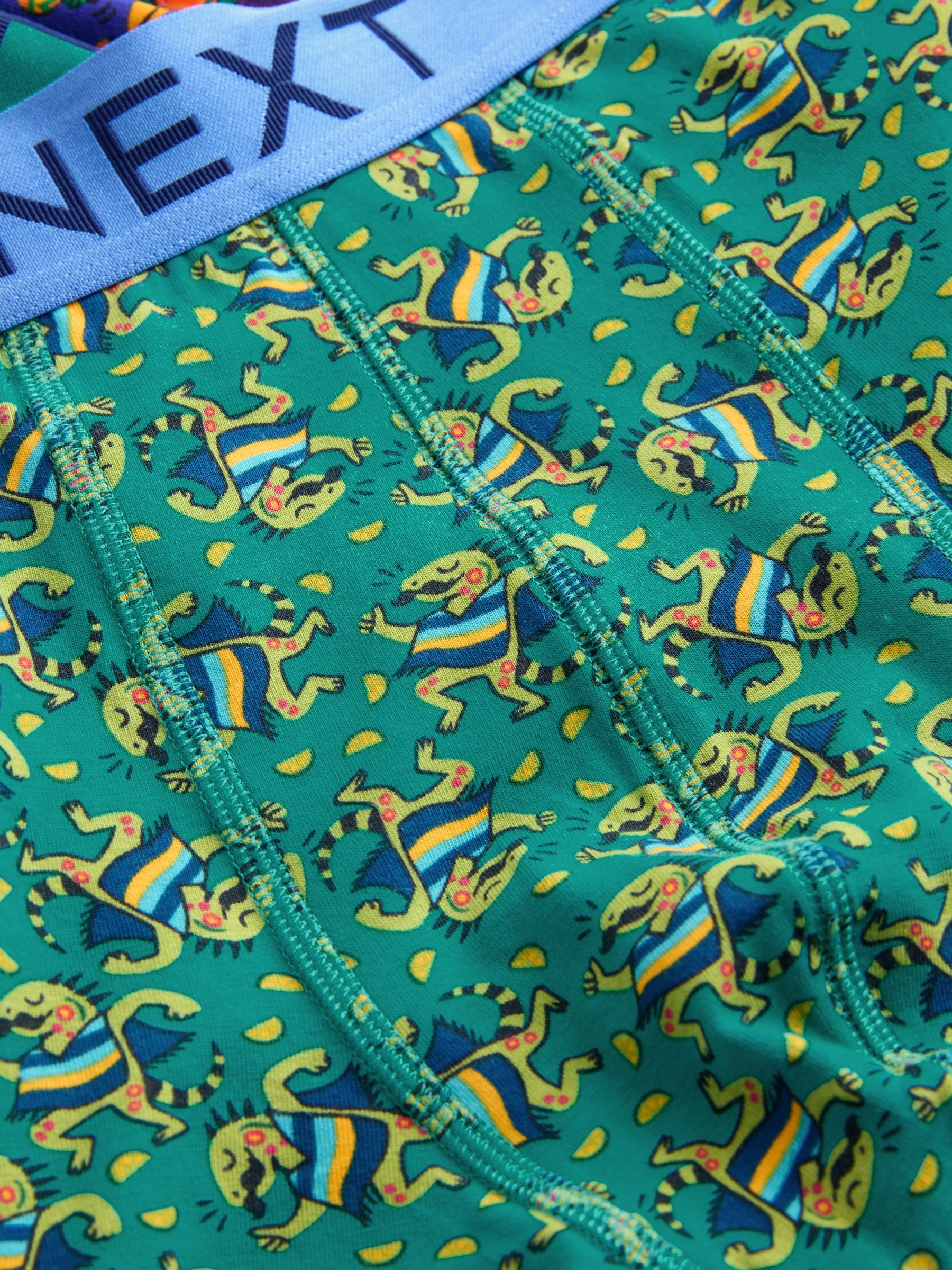 Buy Fun Bright Mexican Animals 5 Pack Hipster Boxers from the Next