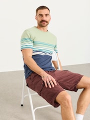 FatFace Brecon Plum Purple Garment Dye Cargo Shorts - Image 4 of 6