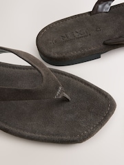 Chocolate Brown Suede Standard/Wide Fit Forever Comfort® Square Toe Thong Sandals - Image 3 of 5