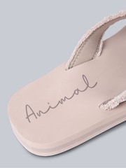 Animal Brown Womens Tidal Flip Flops - Image 3 of 4